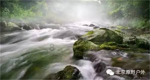 炸弹专家